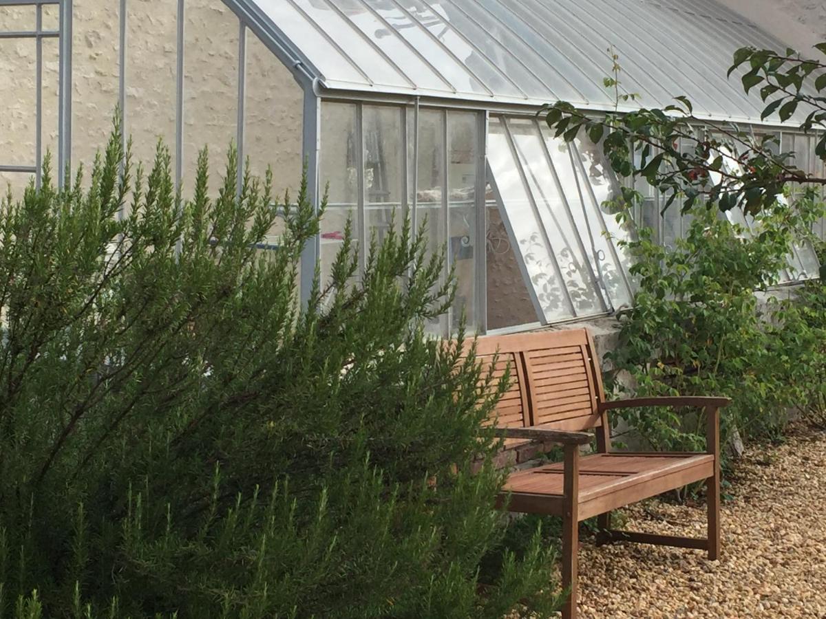 Вилла L'Orangerie "The Orangery" Du Parc Des Nouies Сель-сюр-Шер Экстерьер фото